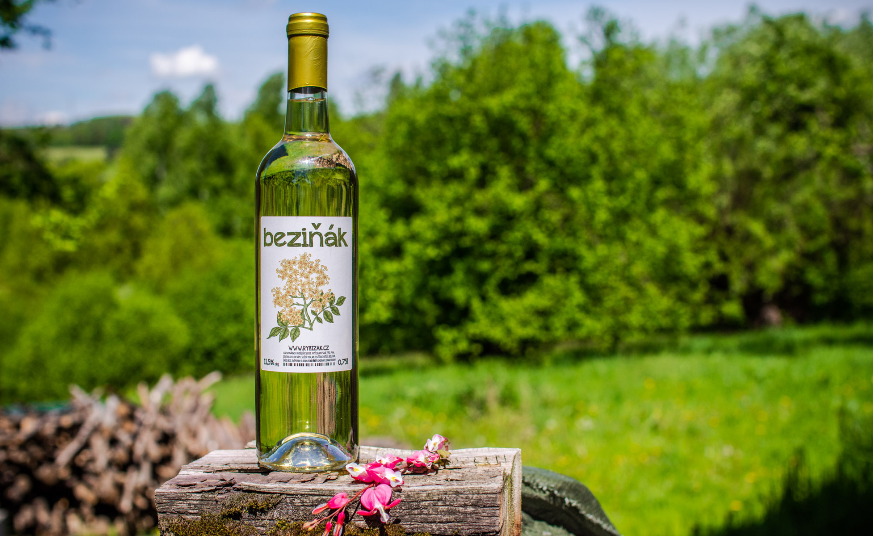 z černého bezu snadno vyrobíte lahodné domácí víno